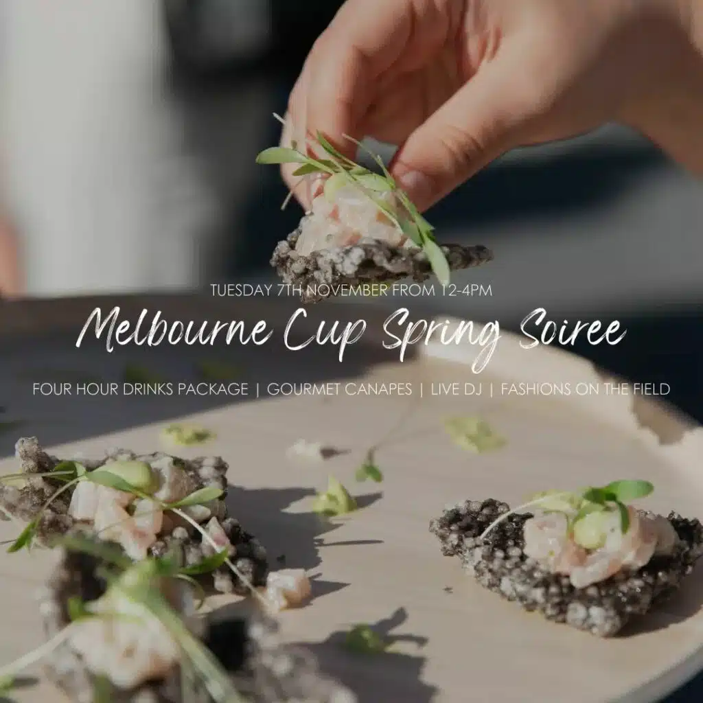 Social Media Agency Examples Essence